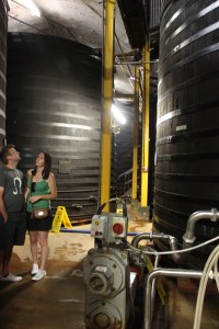 Oak Vats at Westons