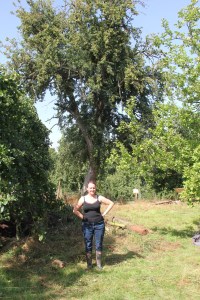 me in front of the Holmer Perry Tree at Broome Farm