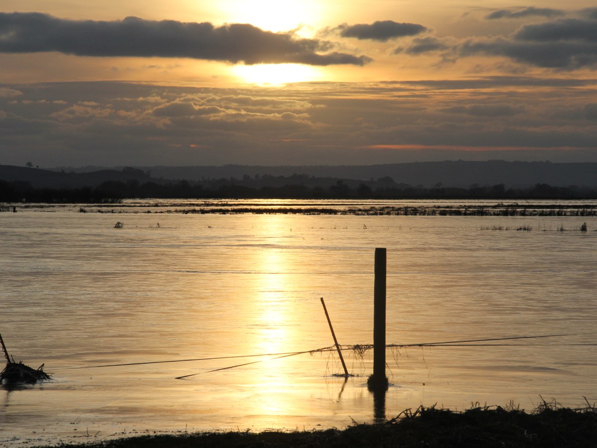 December on The Somerset&nbsp;Levels