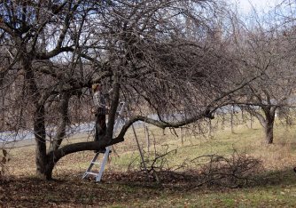 eric-shatt-newell-farm-1-edit