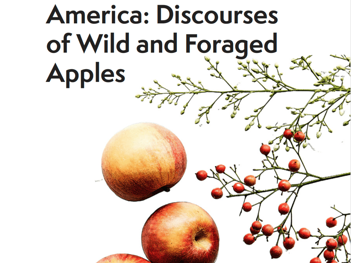 Publication: Plant Perspectives